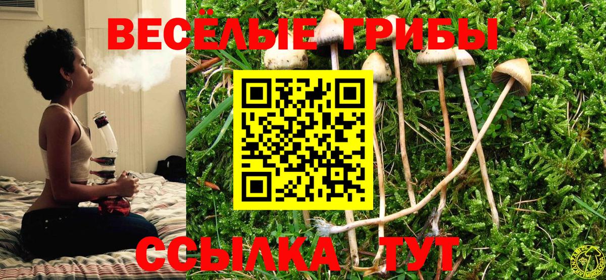 цены наркотик  Вход с VPN  Куйбышев  Псилоцибиновые грибы мицелий 